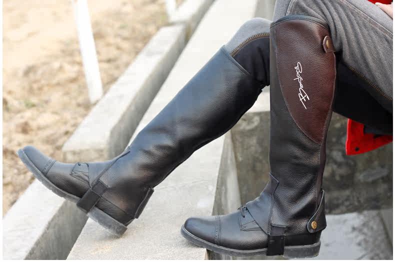 Article sports equestres BASLONG - Ref 1381252 Image 22