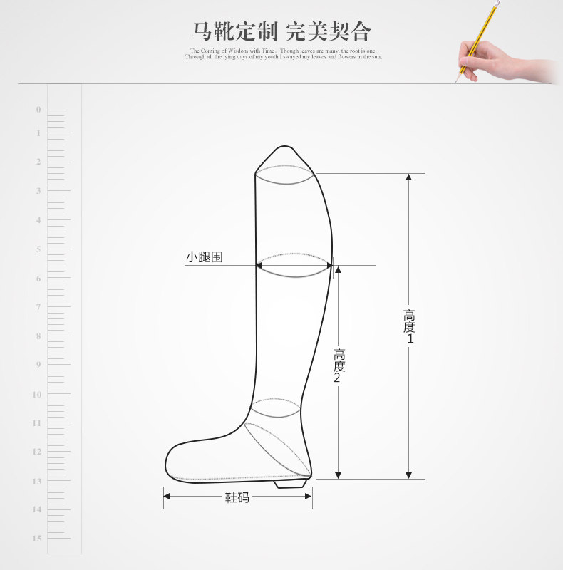 Article équitation BASLONG - Ref 1381180 Image 27