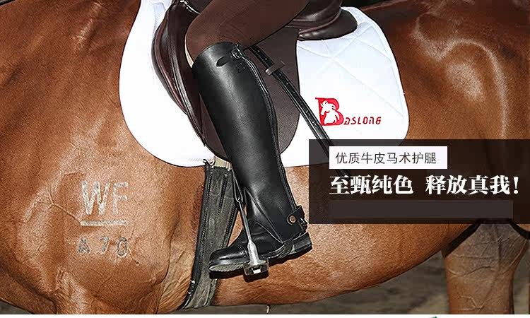 Article équitation BASLONG - Ref 1378292 Image 6