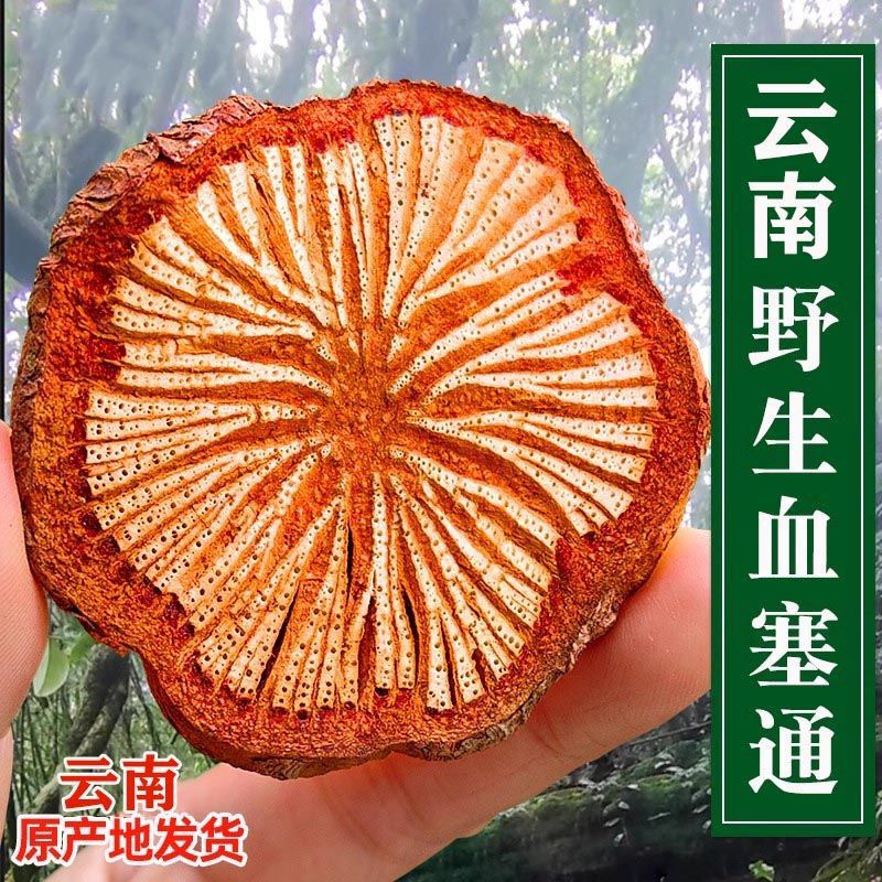 Yunnan Wild Xuesaitong Premium Deep Mountain Large Blood Vine Genuine Brain Blood Circulation Herbal Medicine 500g Old Tree Red Vine Slices