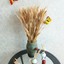 Natural wheat ear dried flower bouquet pastoral decoration gift shooting props dried flower real flower wheat opening gift barley