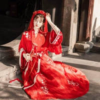 Tanabata Limited [Tsing Yi Ruan] Пять лет пять лет оригинальной женской женской рубашки Hanfu для юбки для вышитой капусты Прай
