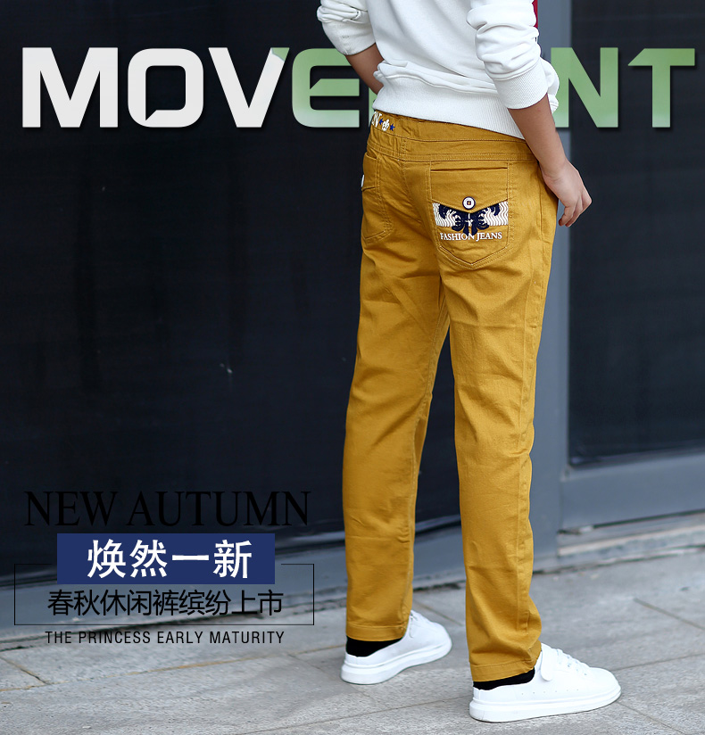 Pantalon garcon mxbn1506 en coton - Ref 2054494 Image 7