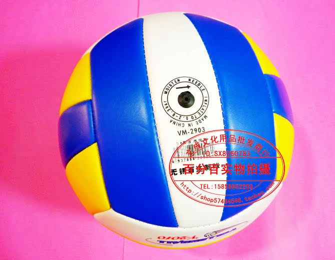 Ballon de volley - Ref 2009972 Image 9