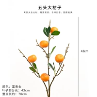 【5 Big Orange】 1