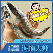 The sea-catching shrimp ocean-going deep-sea whole box of frozen seafood extra-large shrimp Shandong Yantai seafood