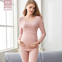 [Новая модель] Fairy Brown не добавляет бархат