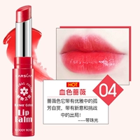 04 Кровавая роза