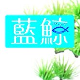 蓝鲸居家日用