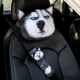 3D Husky [1 головная подушка+1 обычная охрана плеча]