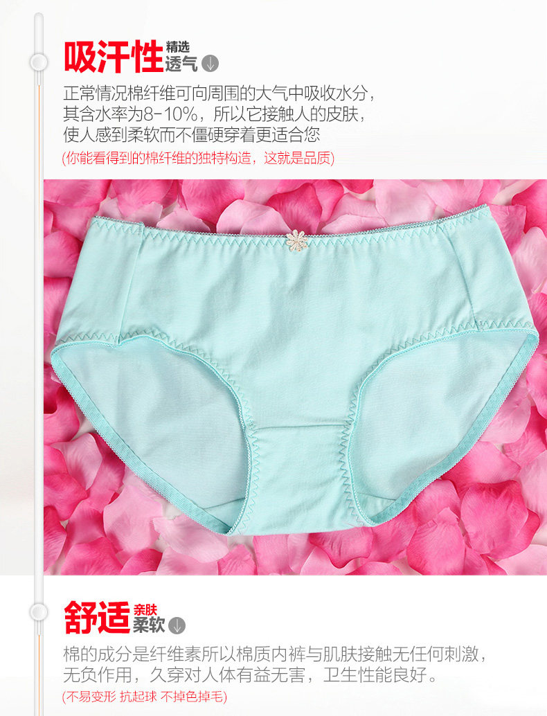 Slip jeunesse PLANDOO P216226-2 en coton - Ref 646782 Image 14