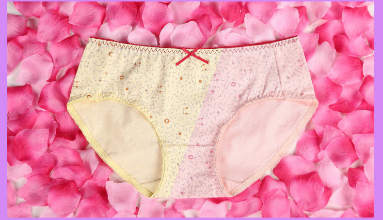 Slip jeunesse PLANDOO P216226TF-3 en coton - Ref 642647 Image 23