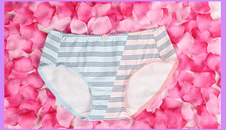 Slip jeunesse PLANDOO P216226TF-3 en coton - Ref 642647 Image 19