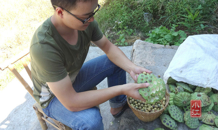 DSC05506_D COPY .JPG