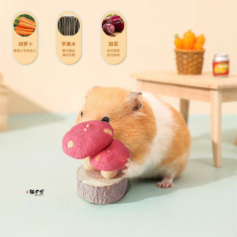 Herda Small Mushroom Rabbit Hamster Golden Silk Bear Dragon Cat Guinea Pig without salt No vegetables Sugar snacks Tooth Wood Toy-Taobao
