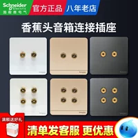 Schneider Audio Socket Multimedia Audio Аудио с двумя головами.