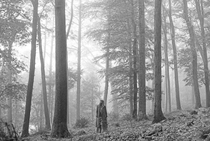 Taylor Swift Folkloré on the Way of the Fare.