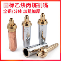 Propane cutting nozzle Oxygen acetylene gas manual cutting nozzle G01-30 100 type liquefied gas plum ring cutting nozzle