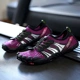 1999 Purple