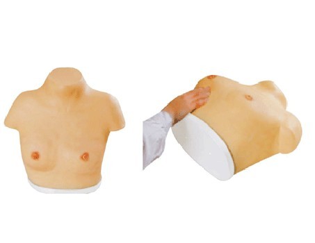 高级乳腺视诊与触诊模型Y-14A乳腺视诊模型乳腺触诊模型医用教