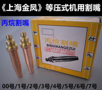 Shanghai Jinfeng isobaric cutting G03 propane cutting machine cutting nozzle flame cutting machine accessories machine nozzle