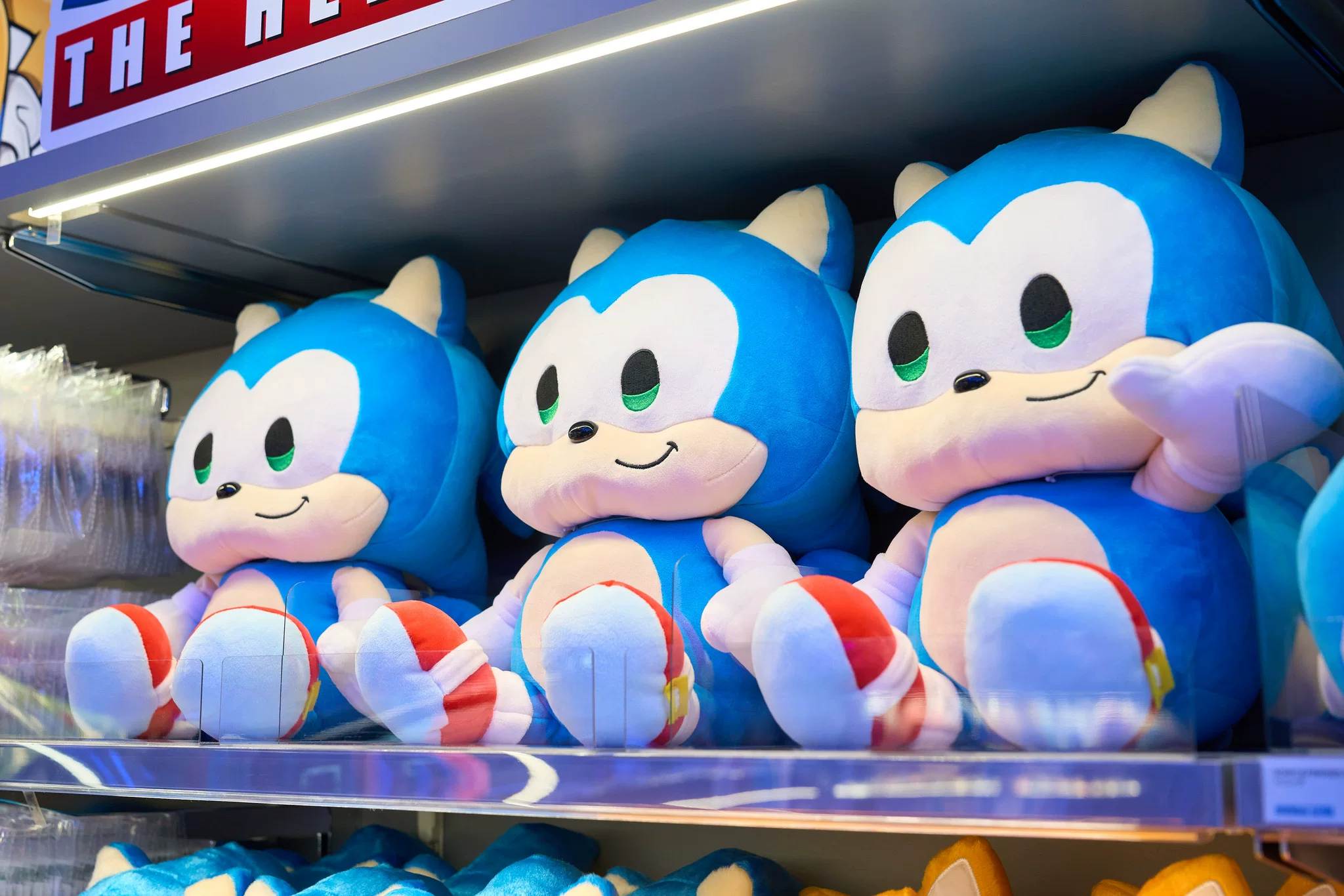 Сега 7.18 SEGA Tokyo Store Sonic the Hedgehog Sonic Peripheral Series (2)
