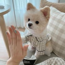 INS Wind Korea No Inprint Plaid Card Its Tibetan Blue Pocket Sleeping Dog Home Pets Better Pets Than Bear Teddy Clothes