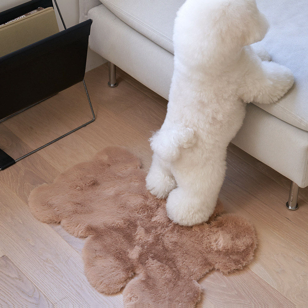 INS Wind Korea Winter New Cute Little Bear Soft And Warm Pet Mat Carpet Bedside Dog Mat Ground Mat