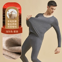 Разработчик + шерсть + шелк] светло-серый 【Круглый набор шеи】