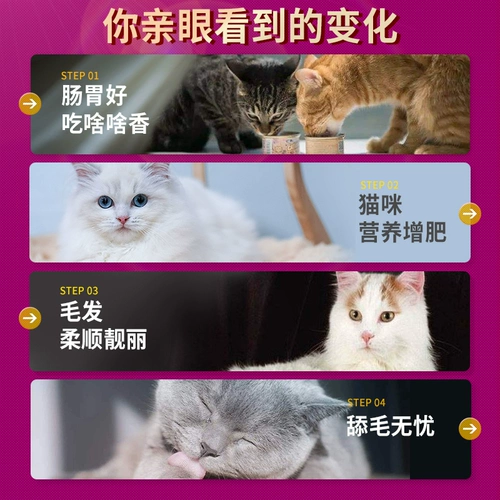 Gava Hua Hua Catal Cat Wemadation и настройка желудочно -кишечной ски