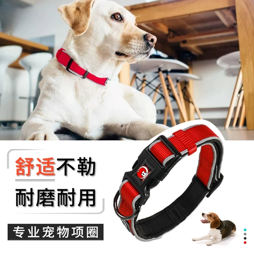 Dog Circle Golden Roller Big INU Sect Circle Teddy Puppy Shiba inu fa dou douright -size Circle Circle Persion