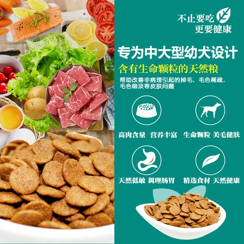 Bernardian Pure Medium крупные щенки и корм для собак 4 кг золотистого работа сосны Lion Samoye Border Живорожие Аляска натуральная еда