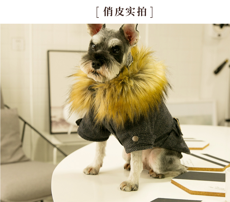 2019 Kentshi lông cổ áo quần áo thú cưng VIP Teddy quần áo chó nhỏ hơn gấu mùa thu và quần áo mùa đông - Quần áo & phụ kiện thú cưng áo của chó