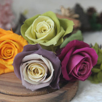 Japanese primavera brand Forever Flower rose special clearance 4-5cm flower head diy gift box with flowers