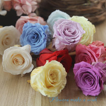 Imported Dadi Farm 9 set 4-4 5cm diameter can be color-grouped can be pressed DIY rose flower forever flower