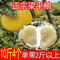 Chongqing specialty Liangping pomelo 10kg Liangshan pomelo hemp grapefruit medicine pomelo farmhouse fresh pregnant women fruit