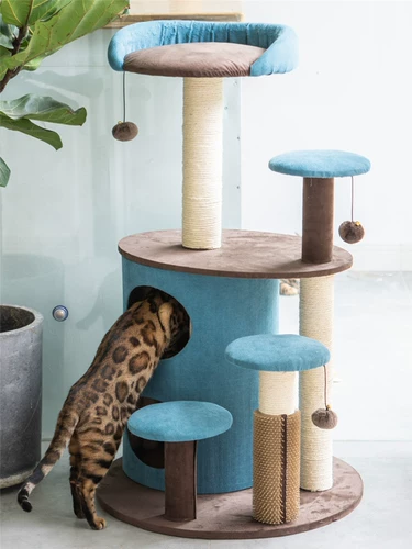Meizi Cat & Kerry Cat Cavaling Cat West вместе Maiba Меч меч Джекс кошка хватает кошку