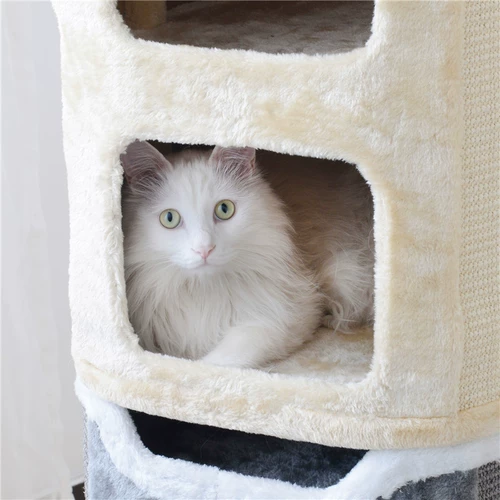 Мечи и горничная кошка кошка кошачья кошка