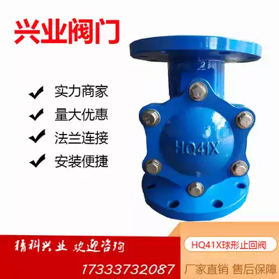 HQ41X-16 ductile iron flange slide roller ball check valve sewage check valve dn50 65 80 100