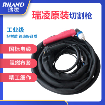 PT31 SG55 P80 mutilation 5 m length 10 m