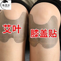 24 paste wort leaves knee paste fever joint waist and leg pain stick knee old cold leg to dampness Qi moxibustion cervical stick