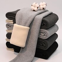 High waist leggings women wear autumn and winter plus velvet net red 2021 New tight elastic size