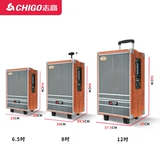 Дорожный портативный чемодан с зарядкой, портативные колонки, беспроводной профессиональный микрофон, высокая мощность, bluetooth