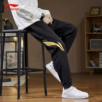 Li Ning, осенние быстросохнущие штаны, комбинезон для спортзала, свободный прямой крой, для бега