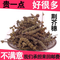 Chenopodium Spike Chinese herbal medicine No sulphur New stock Schizonepeta Spike catnip Schizonepeta Spike 500 gr