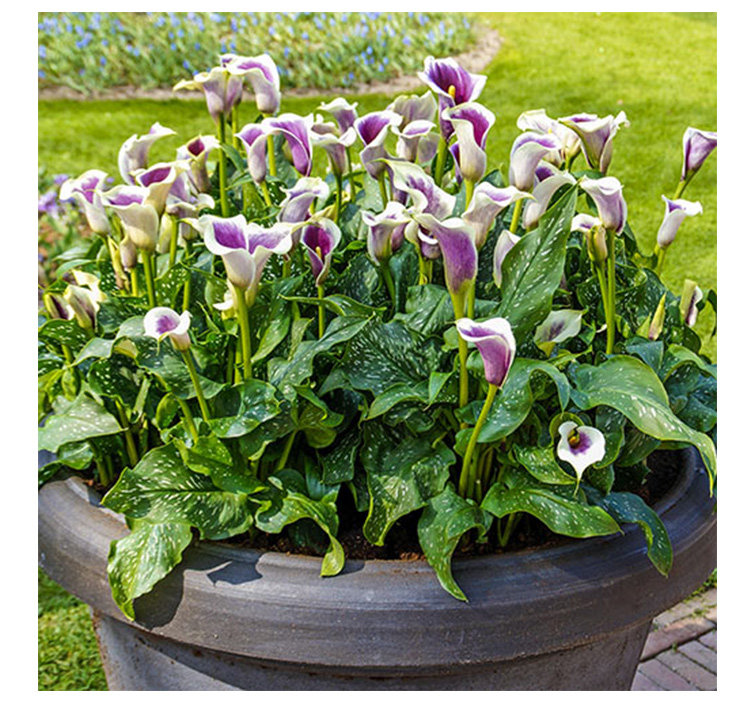 gm6Uj/OnzNRHr0wTH1HhyaWHf4T67lnSkUOz