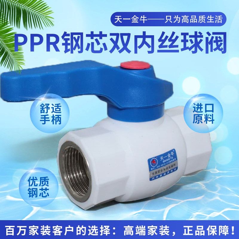 Tiana Gold PPR Steel Core Double Inner Slide Ball Valve PPR Valve 20 4 minutes 25 6 minutes 32 1 inch accessories
