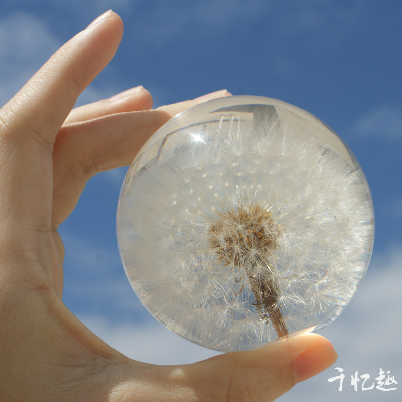 Dandelion gauge this resin crystal ball plant ornaments dripping glue finished product Yongsheng flower paperweight music box night light