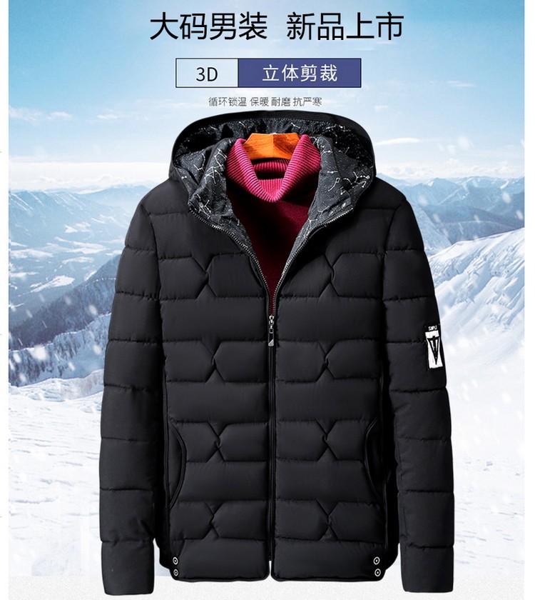 Blouson hiver pour homme en Polyester - Ref 3112886 Image 9