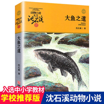 Genuine big fish animal novel King Shen Shixi collection book series Primary School students extracurricular reading books without pinyin childrens literature best-selling books Zhejiang Childrens Publishing House